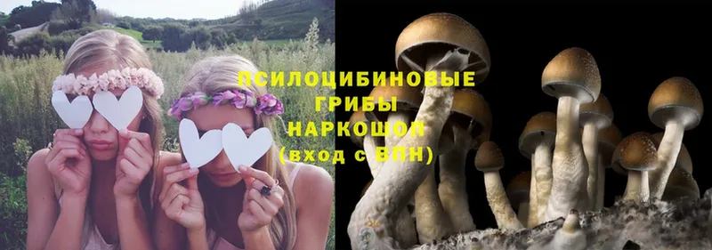 Псилоцибиновые грибы Psilocybe  купить наркотики цена  Комсомольск 